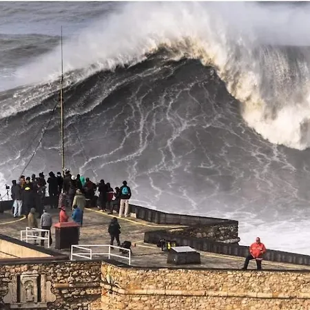 Daire Pedra Do Ouro Yoga Retreat *